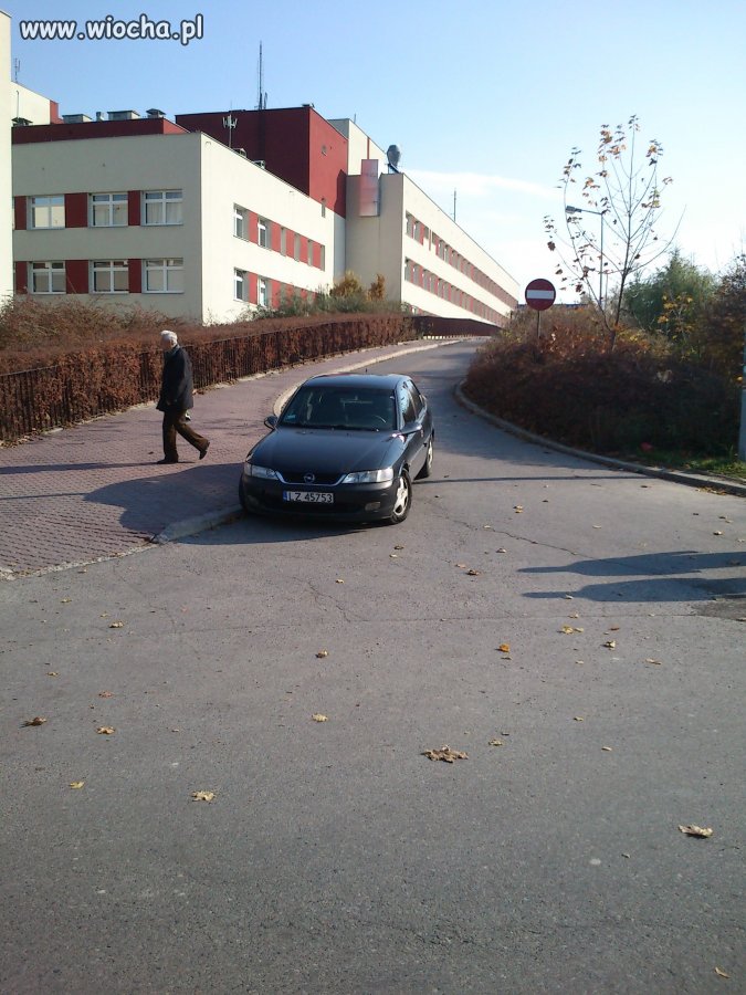 Mistrz Parkowania...