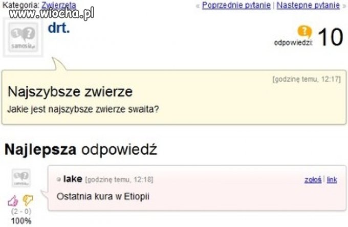 Najszybsze zwierzę