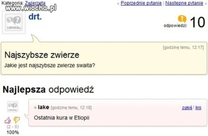 Najszybsze zwierzę