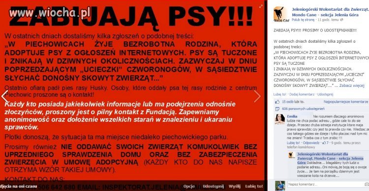Złoczyńcy!!!