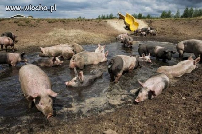 Posłowie na wakacjach