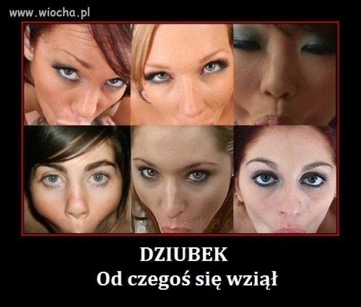 Bez komentarza 