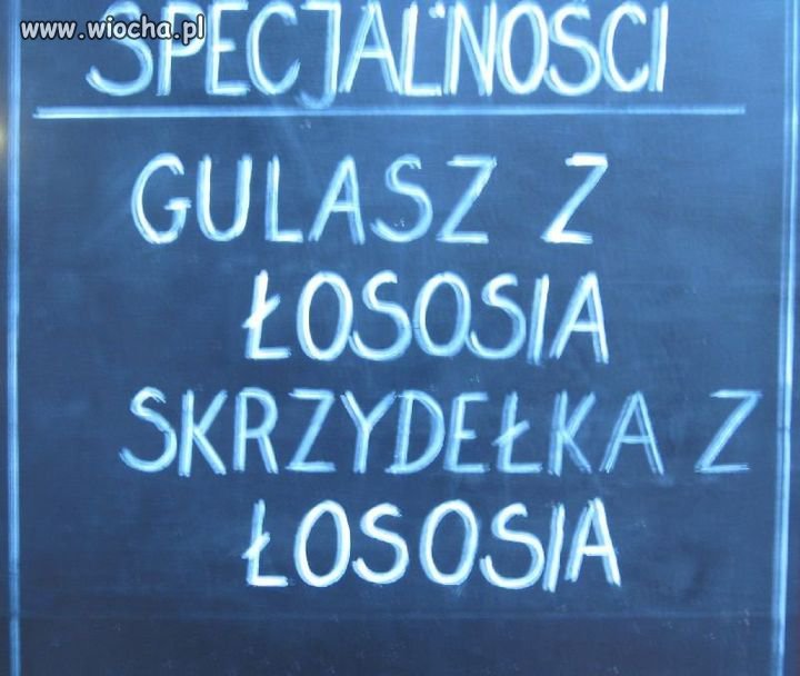 Specjalności zakładu