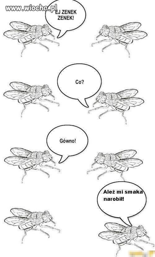 Śmieszna wiocha
