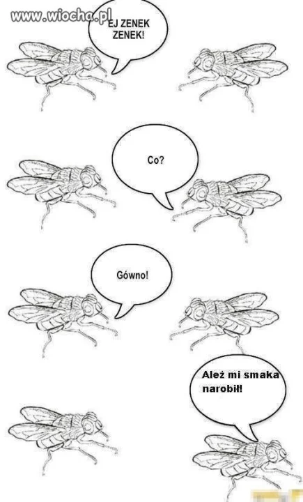 Śmieszna wiocha