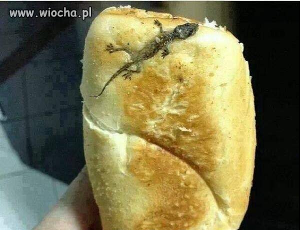 Z obkładem
