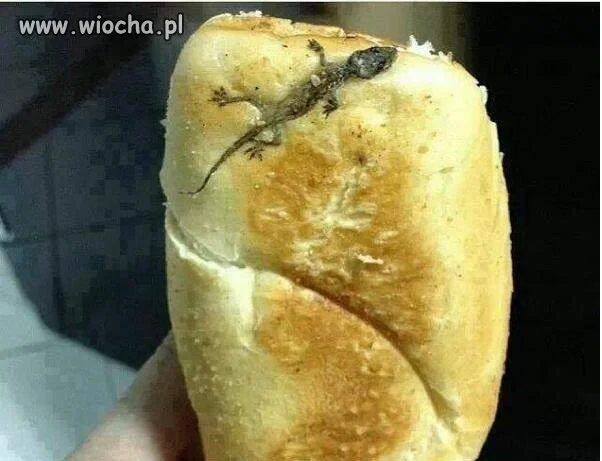 Z obkładem