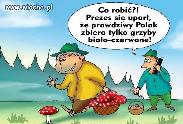 Prezes ma zawsze rację...
