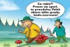 Prezes ma zawsze rację...