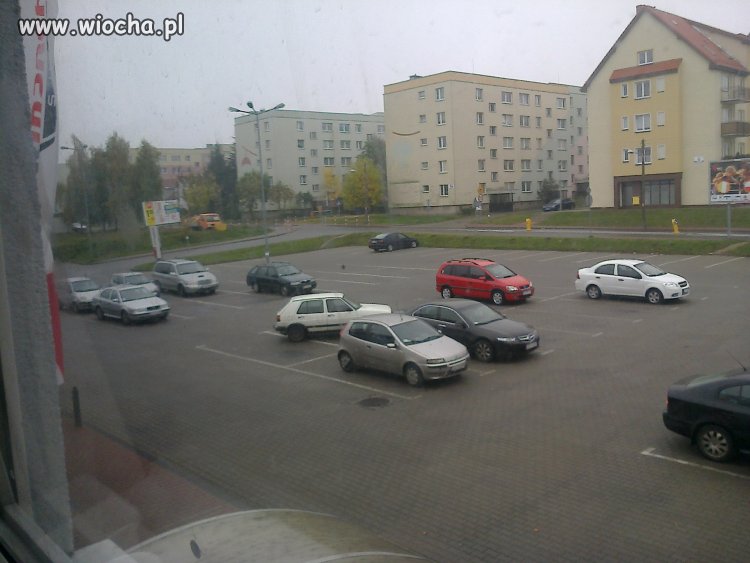 Mistrz Parkowania Gryfice Inter