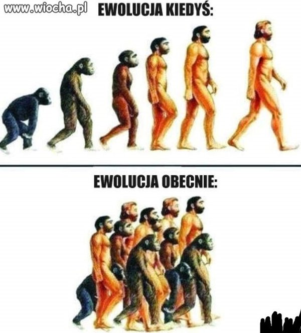 Ewolucja