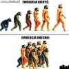 Ewolucja