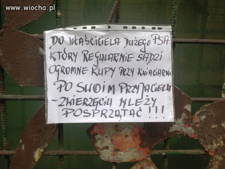 Kultura społeczna