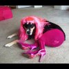 Transdog