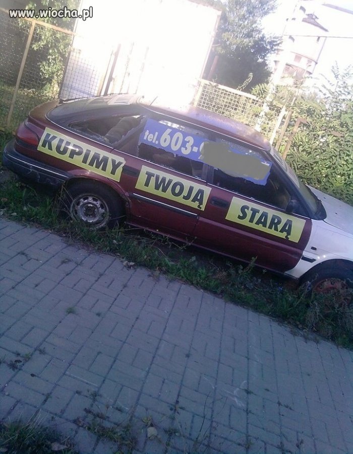 Ciekawa propozycja