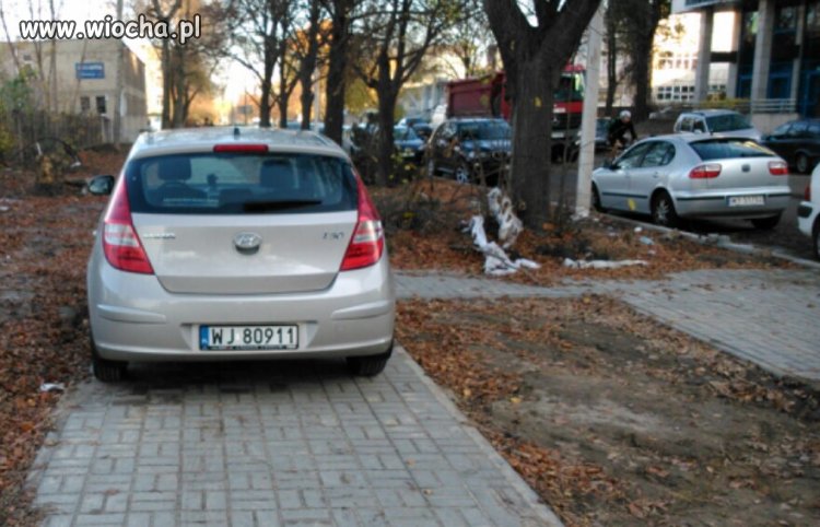Kolejny mistrz parkowania