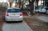 Kolejny mistrz parkowania
