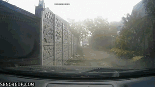 To się nazywa nie fart... 