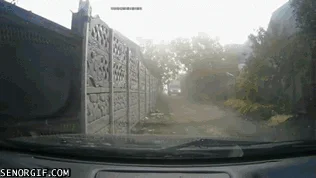 To się nazywa nie fart... 