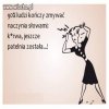 Ot i cała prawda...