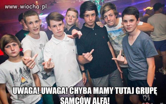 Tekst pod obrazkiem,