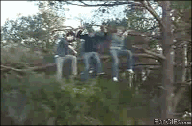 Mistrzostwa drwali-amatorów