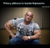 Zgadzam się w stu procentach 