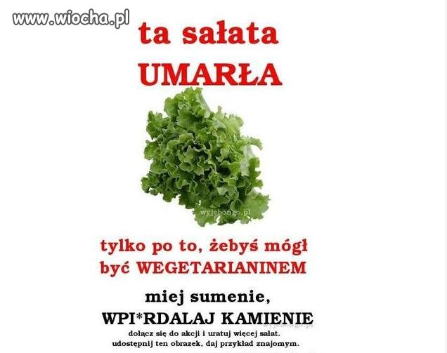 Uratuj sałatę!