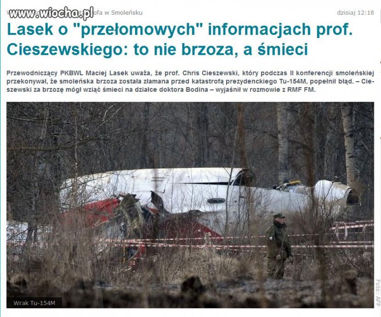 Brzozę pomylił ze śmieciami...