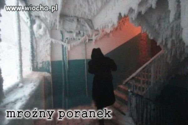 Tymczasem w Rosji...