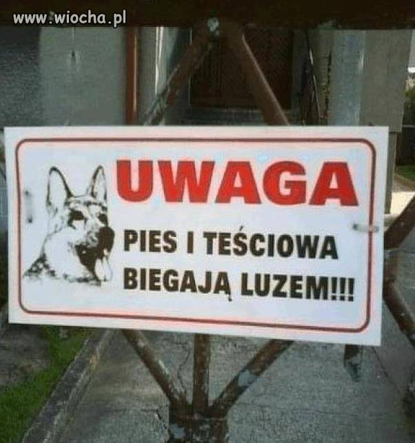 Na prawdę ostry duet 
