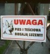 Na prawdę ostry duet 