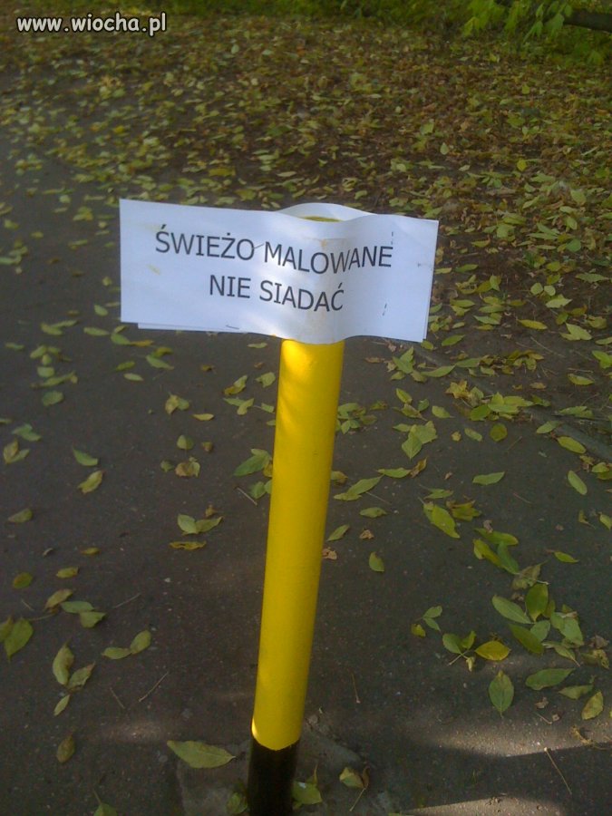 Tak, bo wszyscy ludzie siadają na słupkach... 