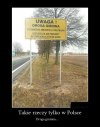 To już przesada 