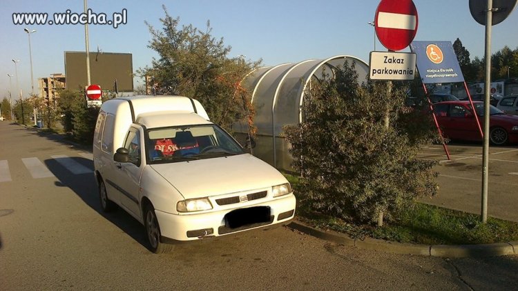 Mistrz parkowania