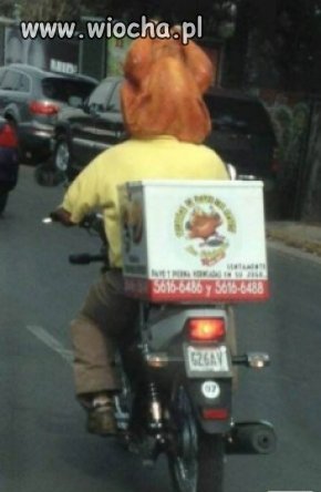 Moto-kurczak