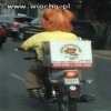 Moto-kurczak