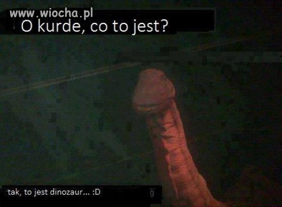 O kurde 
