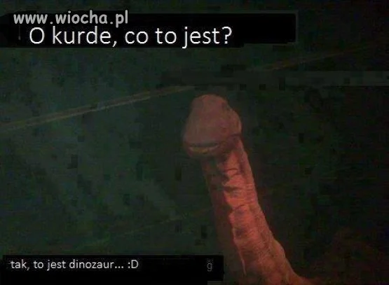 O kurde 