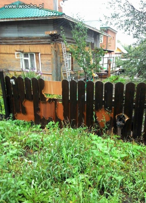 Z ciekawością nie wygrasz