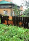Z ciekawością nie wygrasz