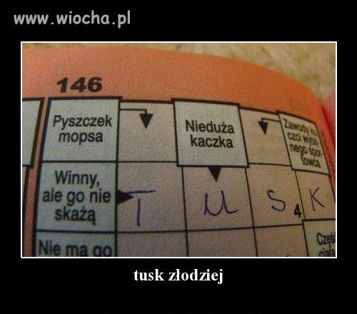 Coś w tym jest