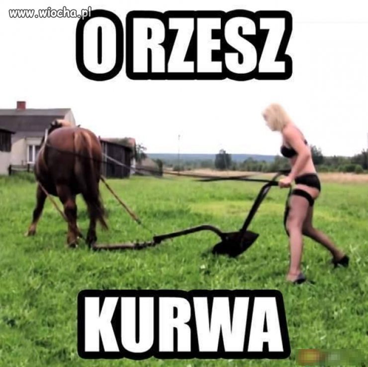 O rzesz