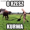 O rzesz