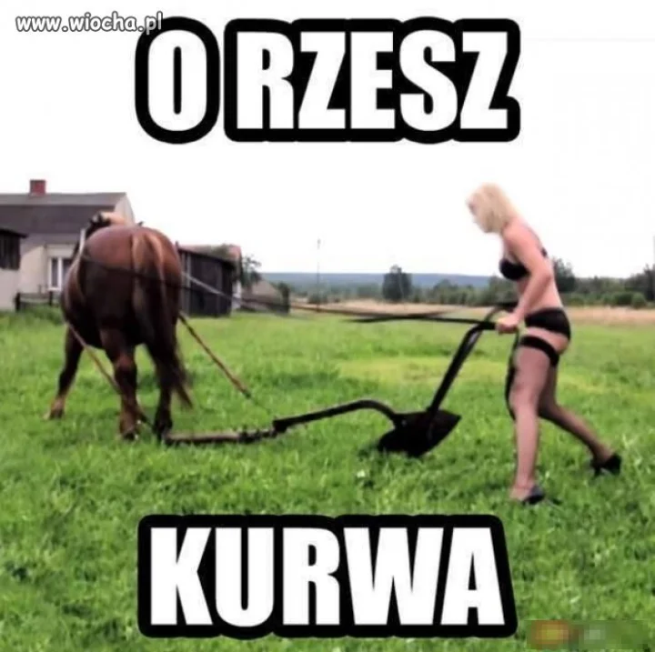 O rzesz