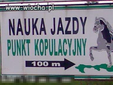Promocja...