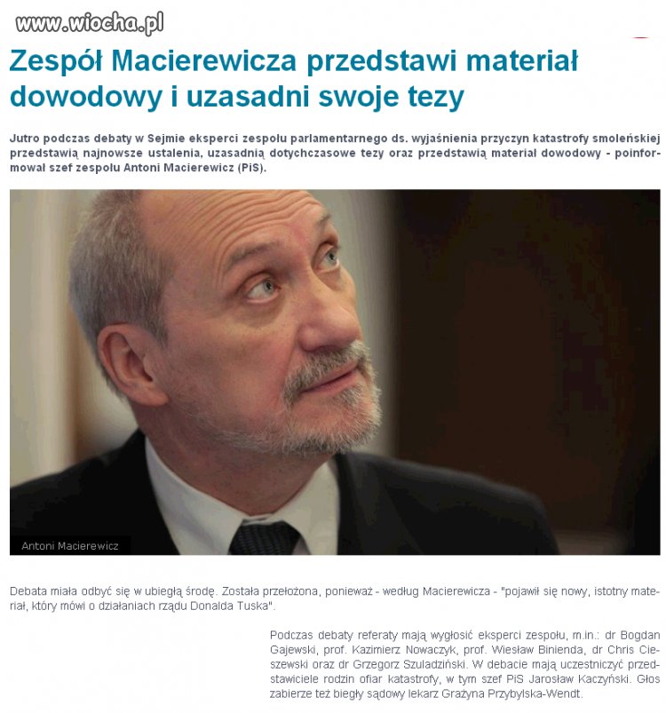 Ekspert brzozowy