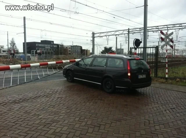 Bezmyślność czy głupota?