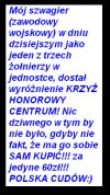 Za zasługi w Wojsku Polskim Krzyż