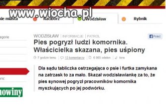 Pies pogryzł ludzi komornika